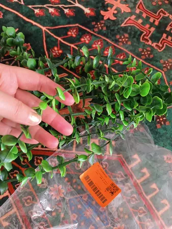 دسته گل مصنوعی مدل آبشار کد 486