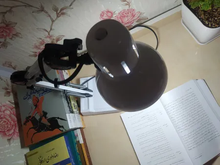 چراغ مطالعه بوستانچی مدل EN-111 همراه با لامپ  ال ای دی 7 وات E27