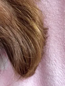 تجریه خرید کرم دکلره مو آلبورا مدل D-0098 وزن 125 گرم