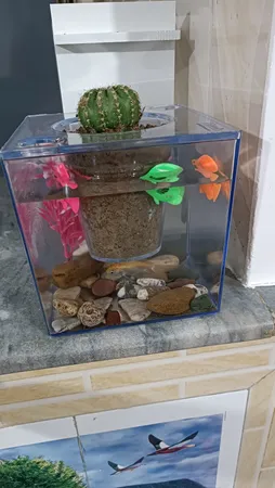 گلدان طرح آکواریوم کد ck106