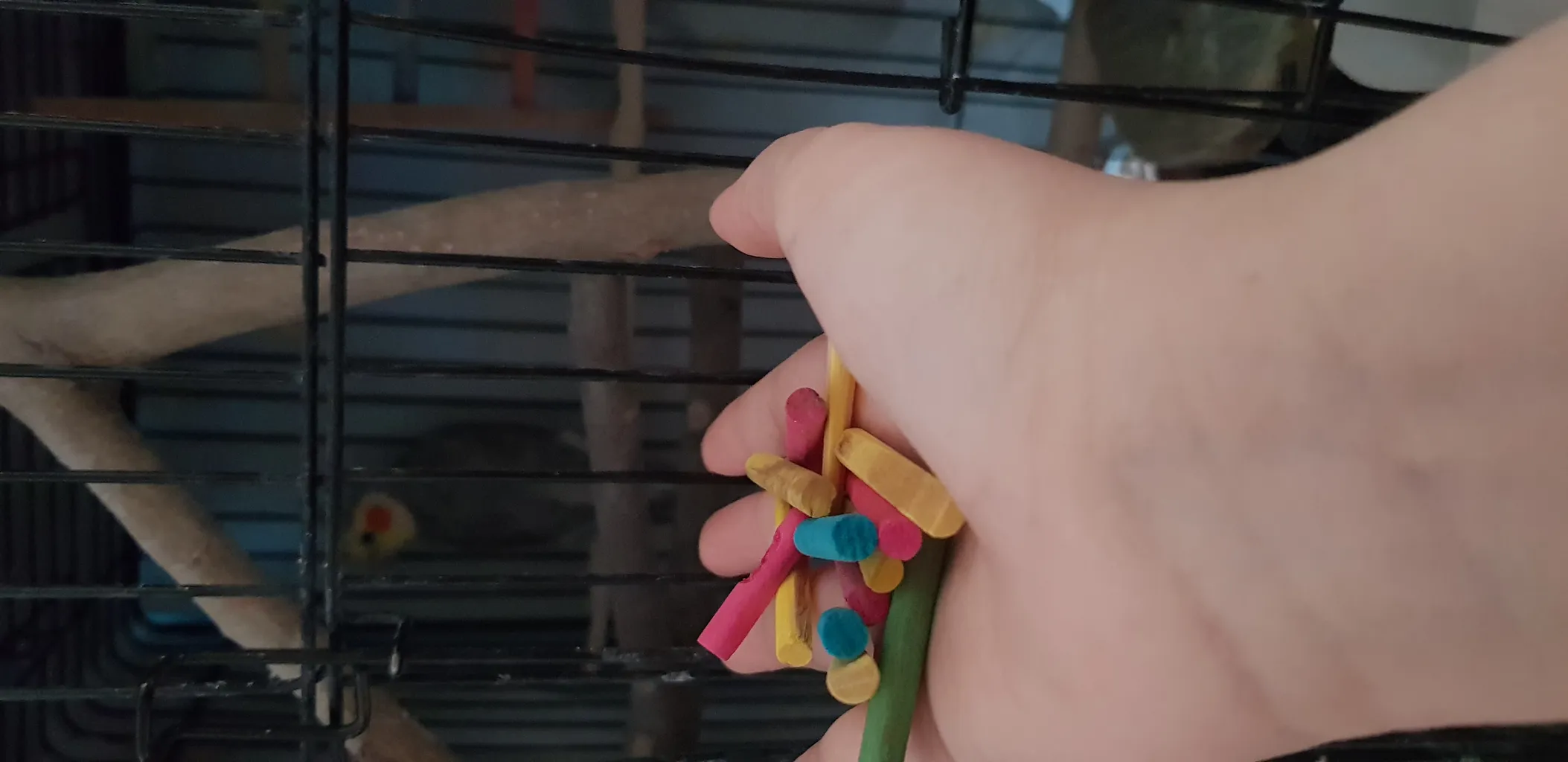 اسباب بازی پرندگان مدل  تکه چوب کد S06 بسته 200 عددی