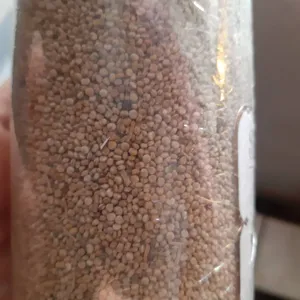 تجریه خرید کینوا سفید ممتاز سرمد - 500 گرم