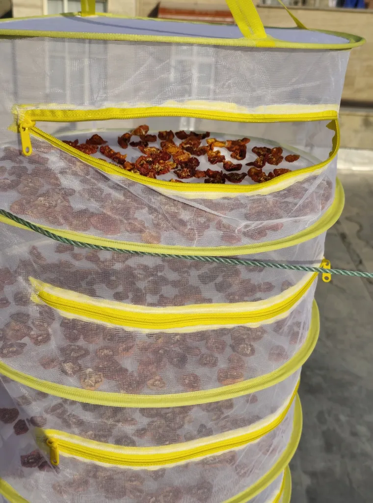 سبزی خشک کن دستی مدل ژار