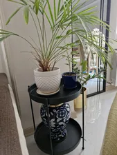 تجریه خرید میز عسلی نیل آرت مدل behnoud