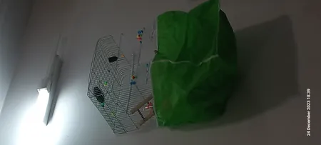 کاور قفس عروس هلندی مدل 1033