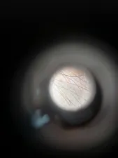 تجریه خرید میکروسکوپ جیبی مدل 9592