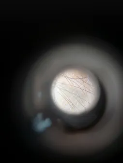 میکروسکوپ جیبی مدل 9592