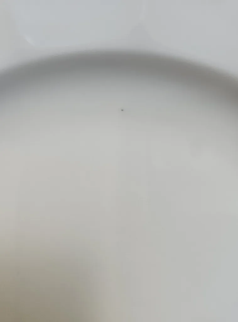 سرویس غذاخوری 29 پارچه 6 نفر چینی زرین ایران مدل نئوکلاسیک سفید درجه 3