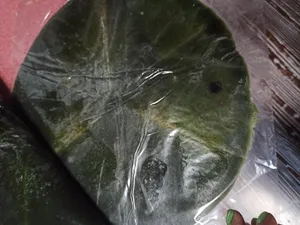 تجریه خرید لواشک کیوی سحرانا  - 500 گرم