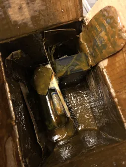 شربت ایمیونس ویتابیوتیکس - 200 میلی لیتر