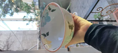 کاسه طرح بهار گل ها کد Fs006 مجموعه 6 عددی