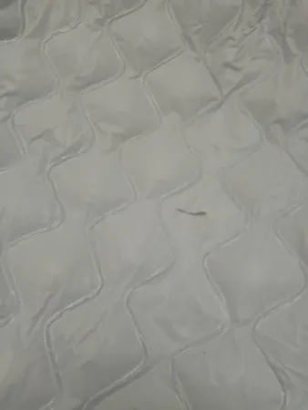 استخر بادی اینتکس مدل 58924