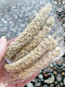 تجریه خرید غذای پرنده مدل ارزن خوشه ای کد 20104 بسته 5 عددی