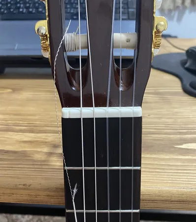 سیم گیتار کلاسیک داداریو مدل EJ45