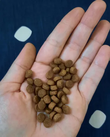 غذای خشک گربه رفلکس پلاس مدل Choosy وزن 1.5 کیلوگرم