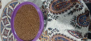 تجریه خرید غذای ماهی آکواریوم کد 1002 وزن 500 گرم