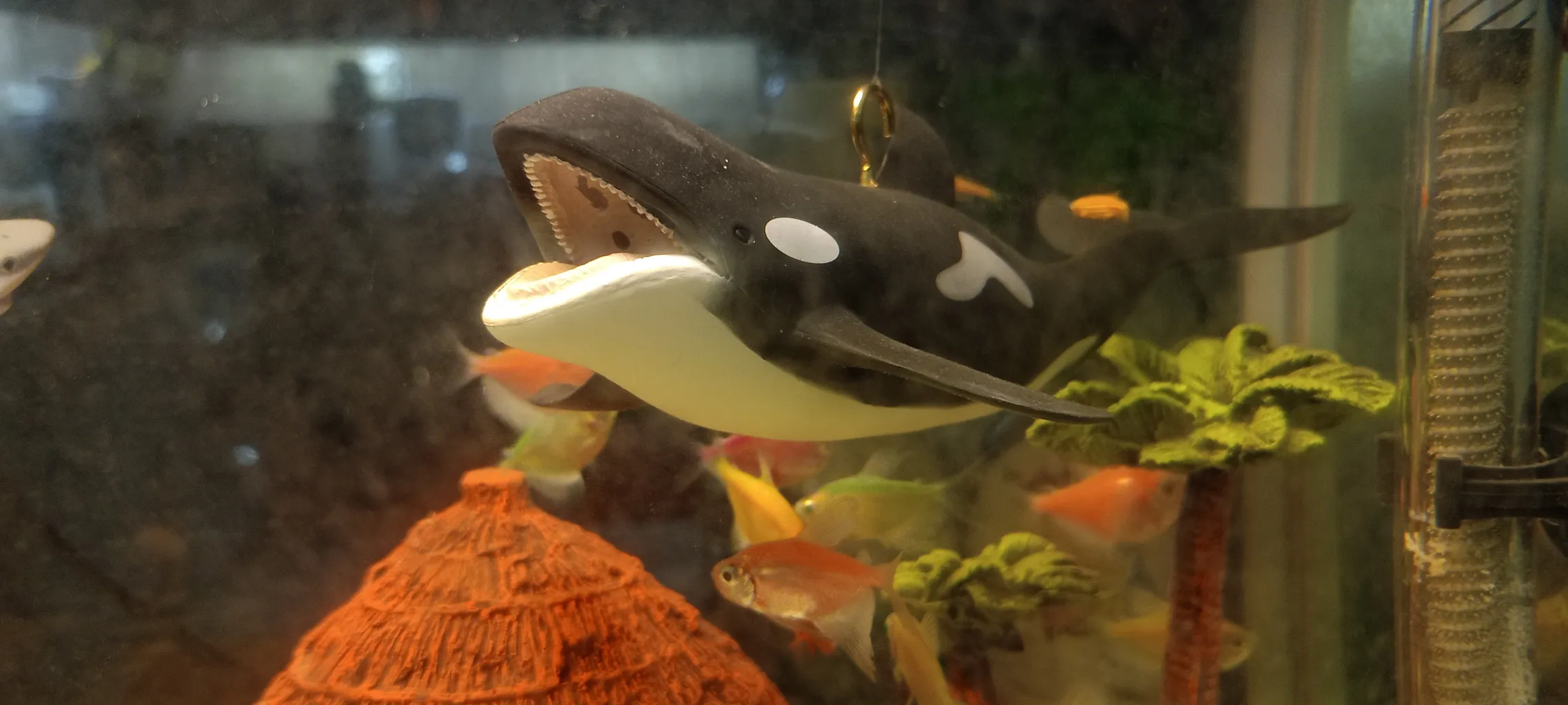 فیگور طرح حیوانات دریایی مدل نهنگ قاتل کد 09090