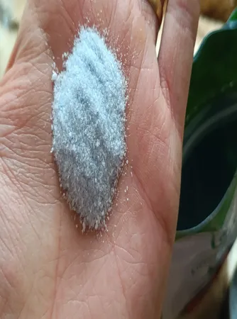 کود کامل فسفر بالا گرین پیک مدل NPK 10-52-10 وزن یک کیلوگرم