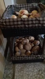 سبد سیب زمینی و پیاز مدل L02