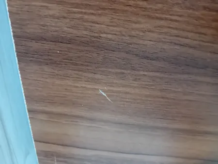 میز تحریر مدل MK200