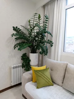 کاور کوسن مدل کلاسیک yt بسته 2 عددی