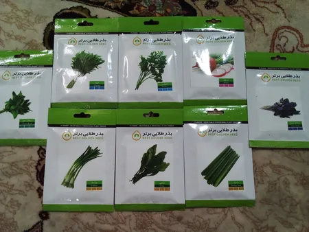 بذر سبزی خوراکی بذر طلایی برتر کد P-S-BZT-08 مجموعه 8 عددی