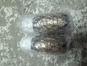 تجریه خرید روغن نارگیل گیاه قانون مدل 02 حجم 60 میلی لیتر مجموعه  2 عددی