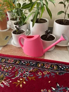 تجریه خرید آبپاش شهرآذین مدل 9020 ظرفیت 2 لیتر