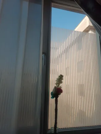 شیشه مات کن طرح کرکره ای کد 1012