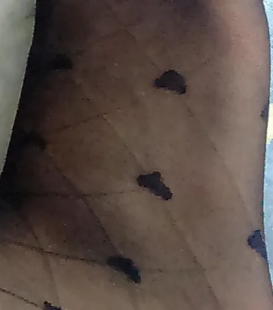 جوراب شلواری زنانه اکسلنس مدل love