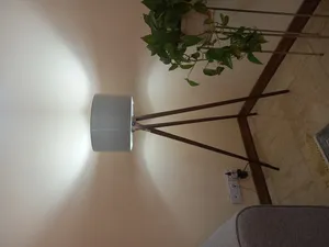 تجریه خرید آباژور ایستاده آس کرال وود مدل چرخشی  As-ch010