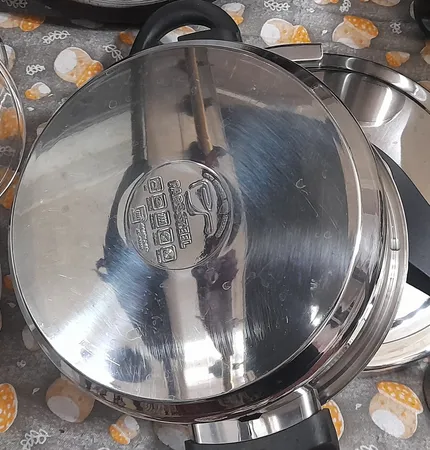 زودپز پارس استیل مدل راشا گنجایش 4 لیتر