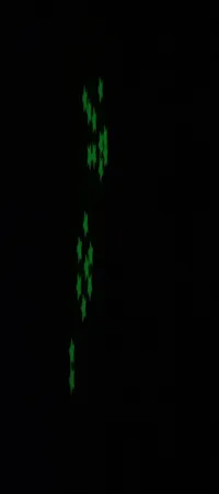 استیکر دیواری کودک مدل شب تاب طرح ستاره بسته 100 عددی