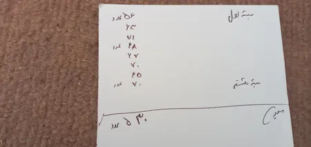 چوب بستنی مدل G12 بسته بندی 800 عددی