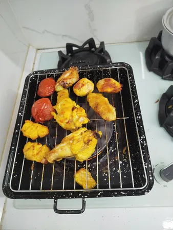 کباب پز روگازی صبا مدل رعنا