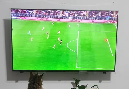 تلویزیون 43 اینچ ال ای دی هوشمند تی سی ال مدل 43S5400