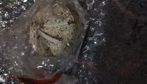 تجریه خرید بلوک معدنی پرندگان مدل N174 وزن 230 گرم  بسته 2 عددی