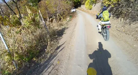 سر بند نگهدارنده گوشی موبایل نیو ویژن