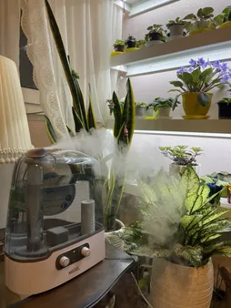 بخور سرد میگل مدل GAH 60