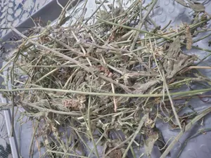 تجریه خرید یونجه خشک خرگوش و جوندگان لوپ هاوانا کد 015 وزن 3 کیلوگرم