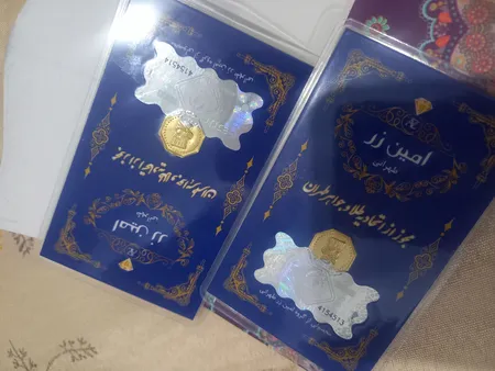 سکه گرمی طلا 18 عیار پارسیان امین زر مدل 004 بسته 2 عددی