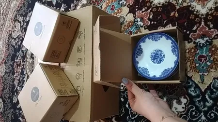 نعلبکی چینی زرین ایران مدل فلورانس درجه یک بسته 6 عددی