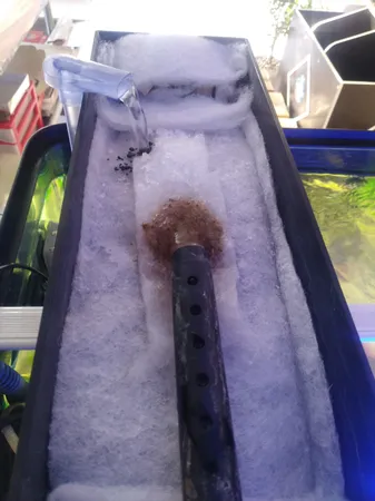 پد فیلتر آکواریوم مدل N 101235 بسته ۱۰ عددی