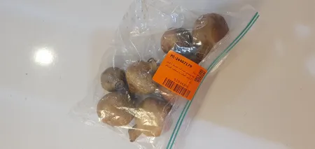 میوه تزیینی مدل انار خشک