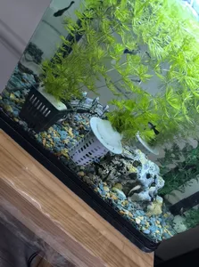 تجریه خرید توری کف شور مدل DN-9902016 بسته 10 عددی