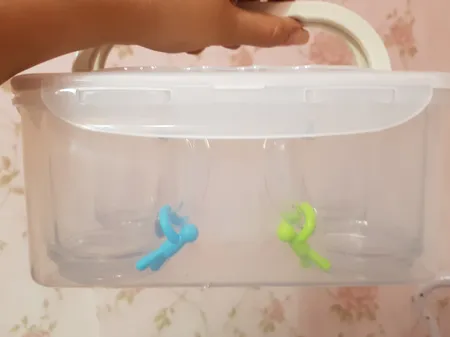 ست پیک نیک لیمون مدل 4 نفره کد 1783