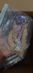 تجریه خرید غذای پرنده مدل ارزن خوشه ای کد 20104 بسته 5 عددی