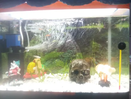 ریسه اس ام دی کد 220 طول 30 سانتی متر