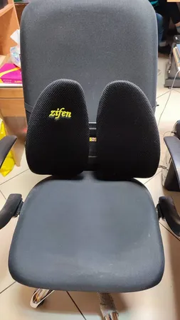 پشتی طبی زیفن مدل Back