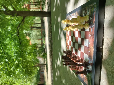 شطرنج آماندا مدل شوالیه